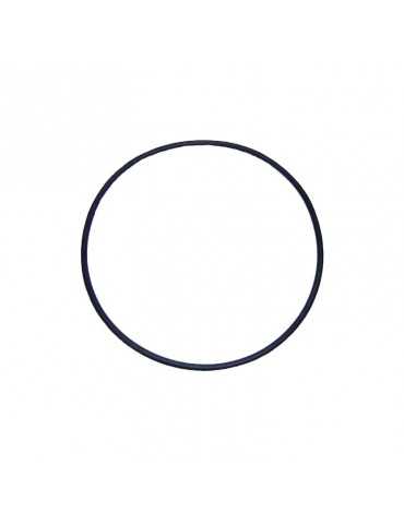Junta tapa Astralpool Maxim