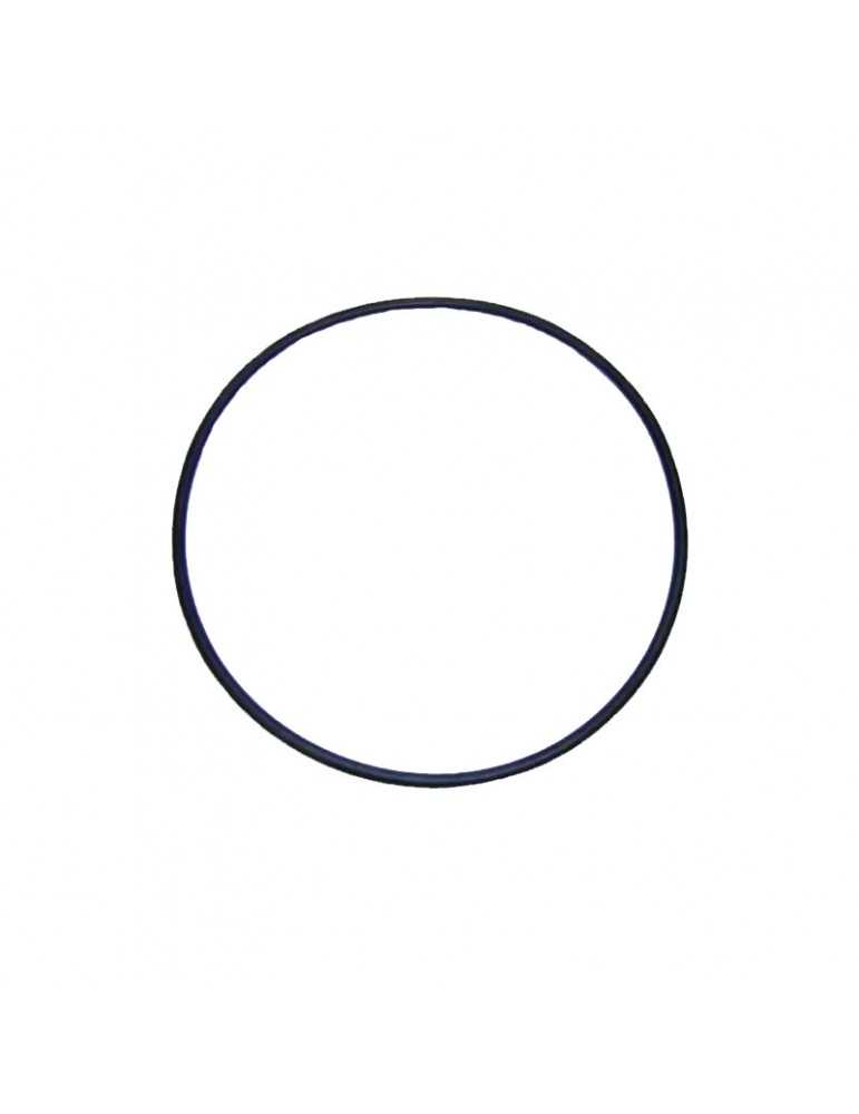 Junta tapa Astralpool Maxim
