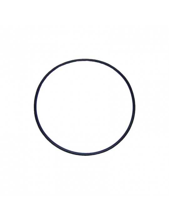 Junta tapa Astralpool Maxim
