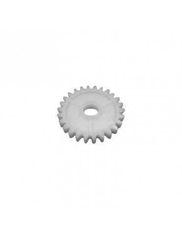 rueda dentada aquabot grande
