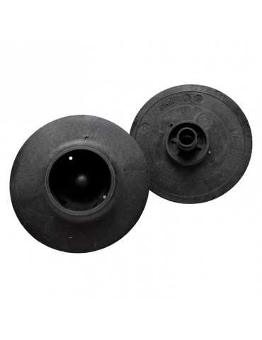 Turbina rodere coral pacific