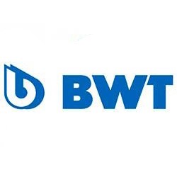 Limpiafondos bwt